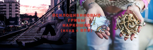 ешки Горнозаводск